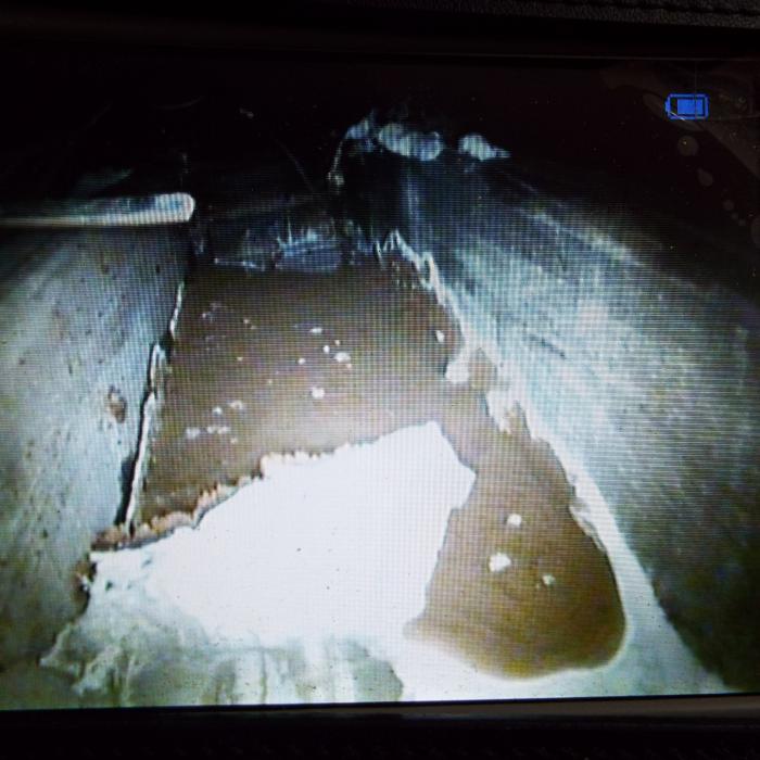 Our specialist inspection camera allowed our surveyors to find this beautiful Dry Rot Specimen beneath a floor within minimum disturbance.