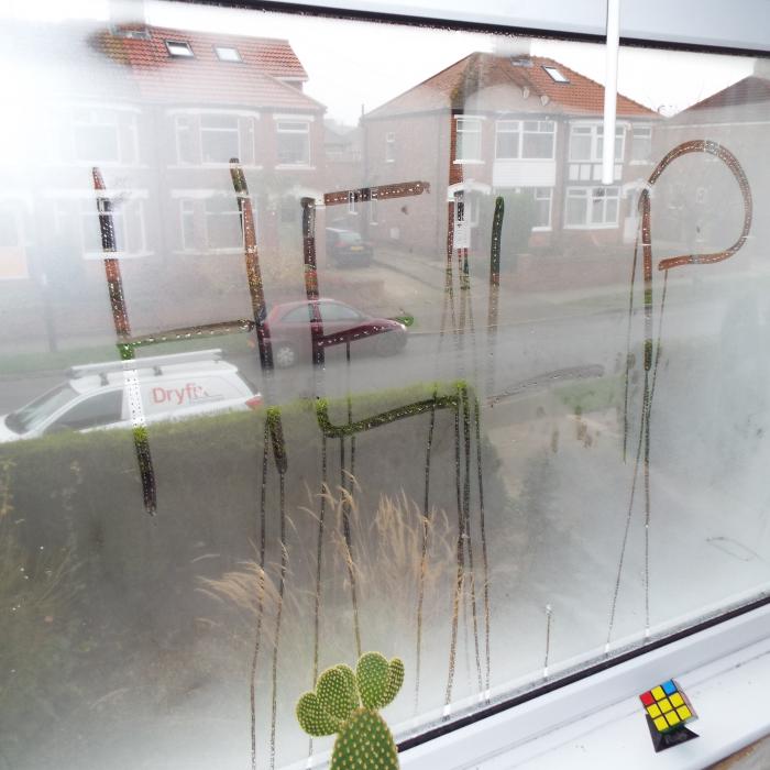 Ok, so I couldn't resist this one! A student let property in York in need of some serious humidity control.&nbsp;