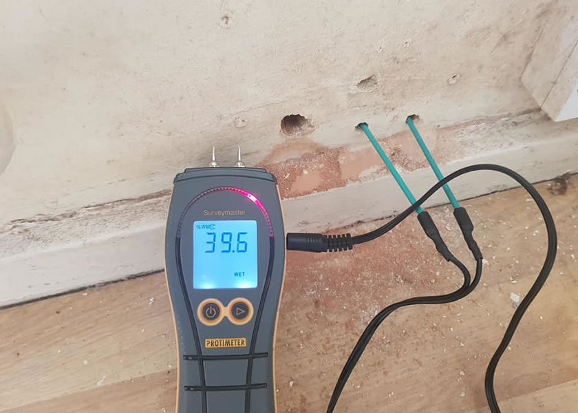 damp surveys york uk