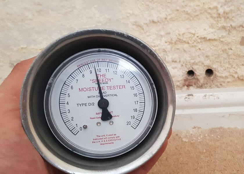 damp surveys york uk