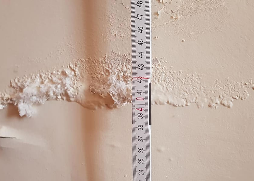 damp surveys york uk