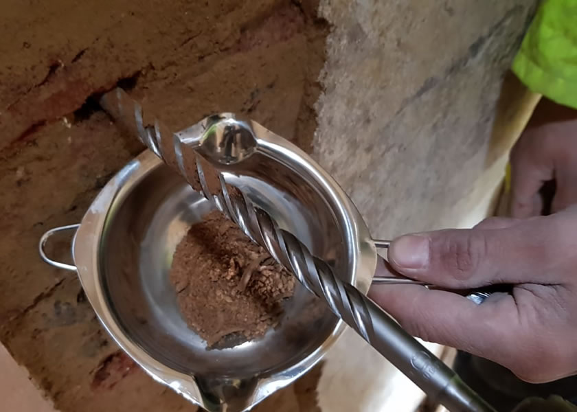 damp surveys york uk