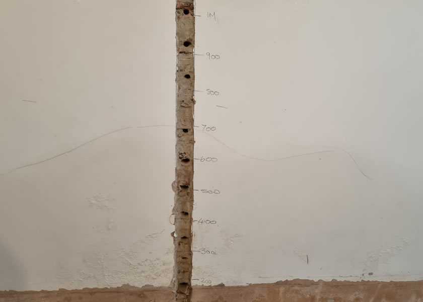 damp surveys and diagnosis uk