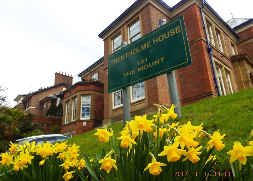 domestic surveys york uk