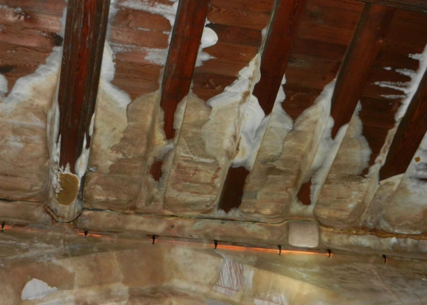 wet rot yorkshire uk