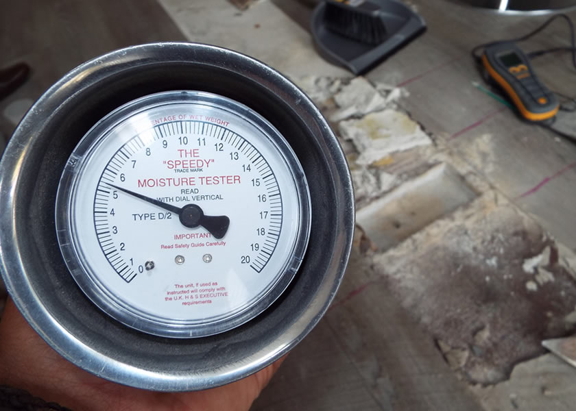 independent damp & timber surveys york uk