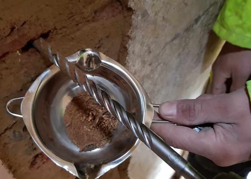 independent damp & timber surveys york uk