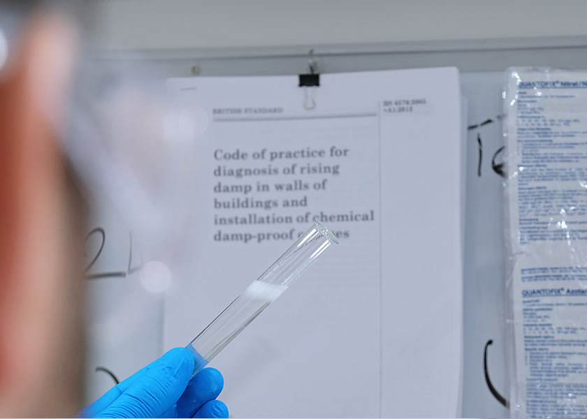 independent damp & timber surveys york uk