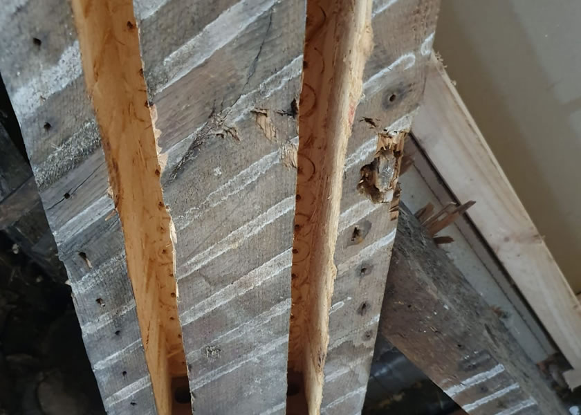 timber resin repair yorkshire uk