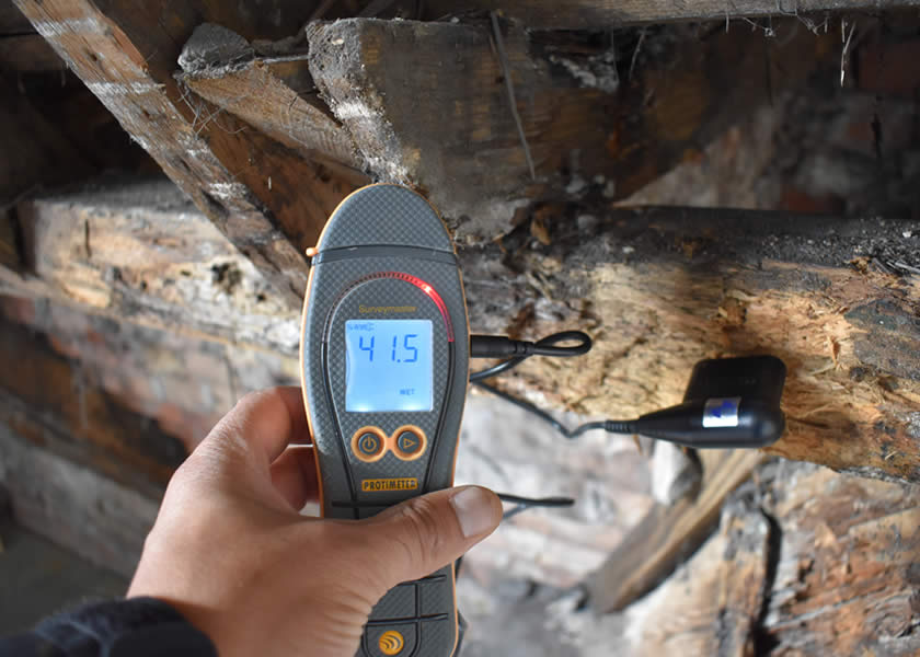 timber surveys yorkshire uk