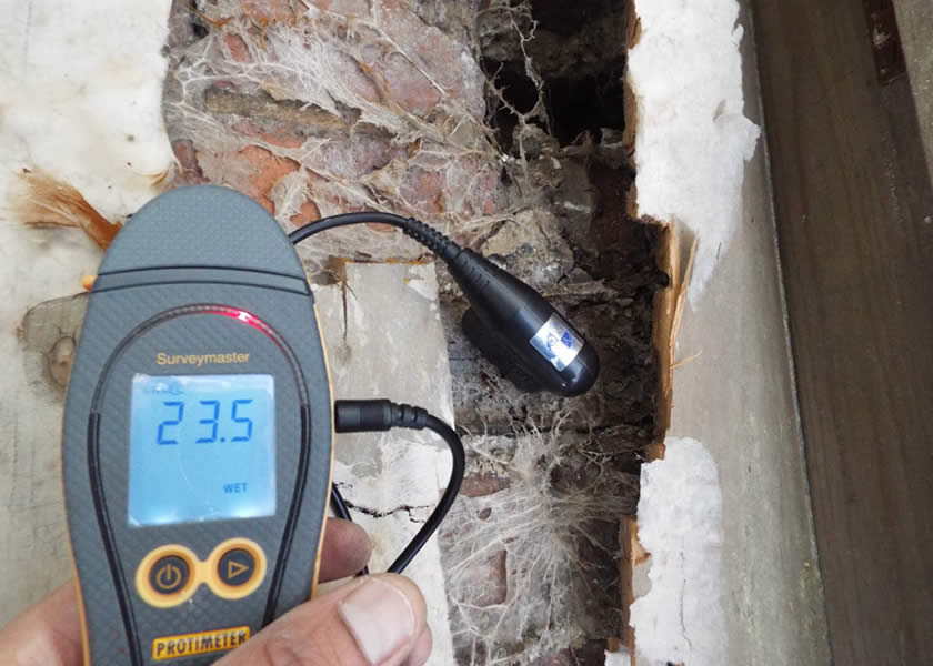 timber surveys yorkshire uk