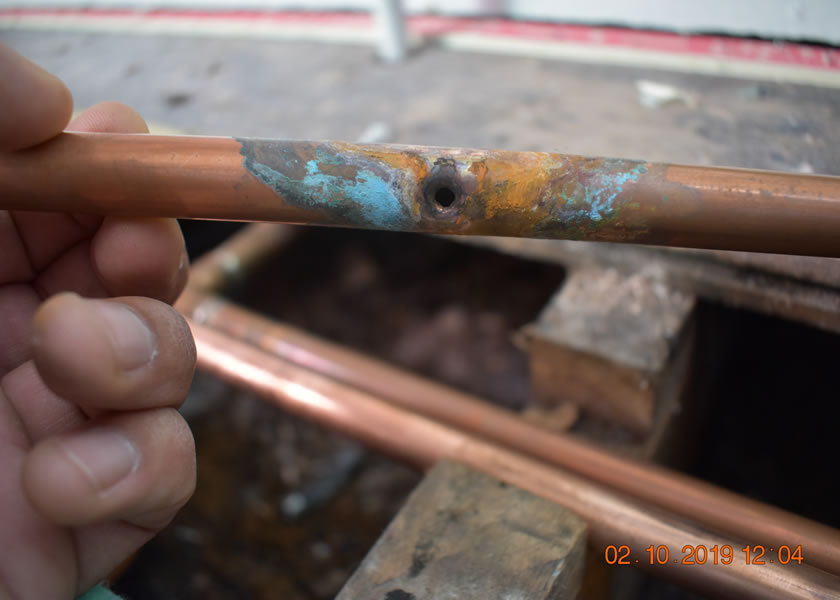 water damage repairs york uk