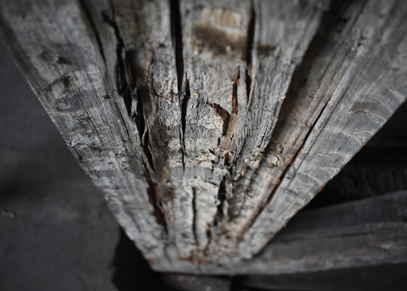 wet rot yorkshire uk